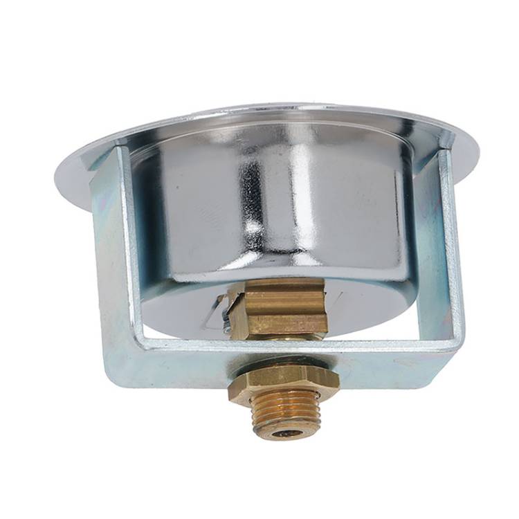 MANOMETER EINZELSKALA |  0÷3 BAR KESSELDRUCK | ø 41/60 mm - 1/8" | FÜR  FIORENZATO C.S. - BRICOLETTA FÜR UNIVERSELLE ANWENDUNG