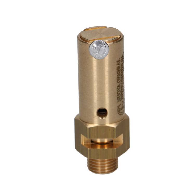 SICHERHEITSVENTIL | 2,0 BAR - 1/4" | CE - TÜV | FÜR CASADIO - LA CIMBALI - FAEMA *** MODELLE SIEHE TABELLE ***