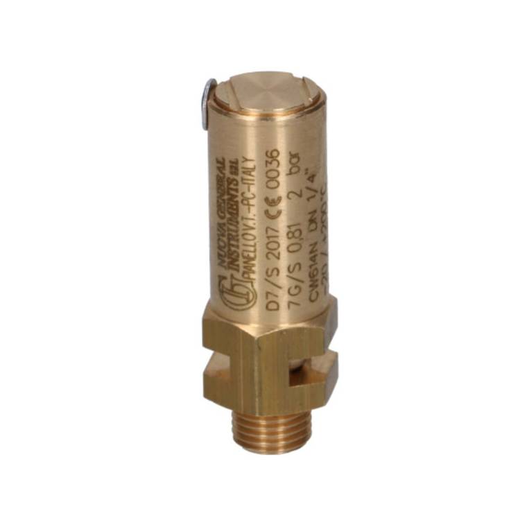 SICHERHEITSVENTIL | 2,0 BAR - 1/4" | CE - TÜV | FÜR CASADIO - LA CIMBALI - FAEMA *** MODELLE SIEHE TABELLE ***