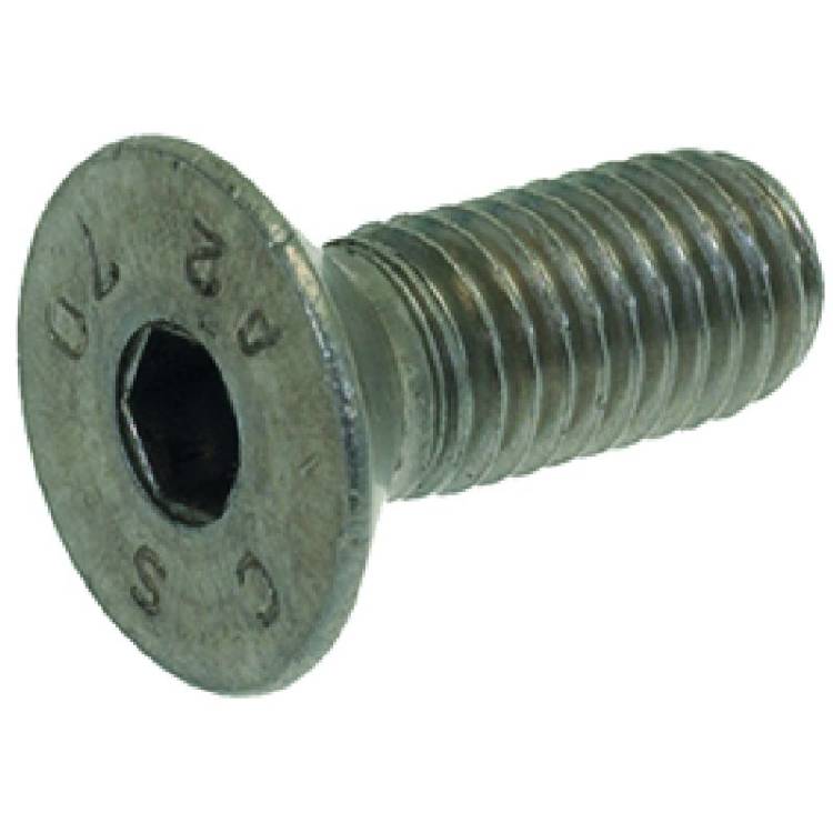 SCHAUBE CNS T.S.P.C.E.I. M8x20 UNI5933