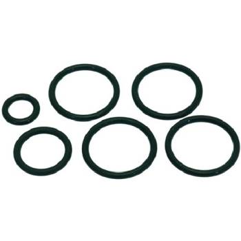 DICHTUNG O-RING SORTIMENT | FÜR AUTOTROL 255/440i