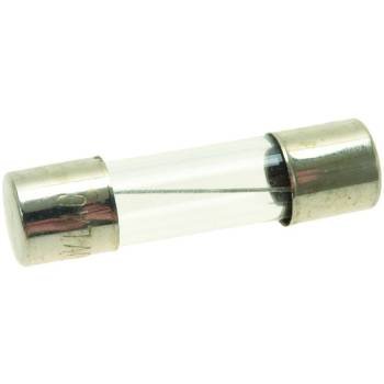 FEINSICHERUNG | 5x20 | T100mA - 10 STK.