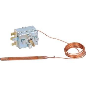 THERMOSTAT MIT FÜHLER | EINPHASIG | TR2 | 0-120 °C