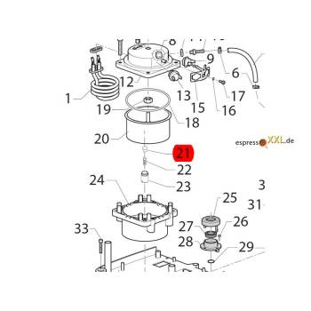 DICHTUNG BRÜHVENTIL | GAGGIA NEW ESPRESSO 06 - PURE...