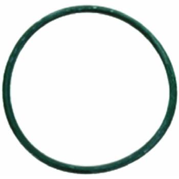 DICHTUNG O-RING ZU DUSCHENTRÄGERPLATTE -...