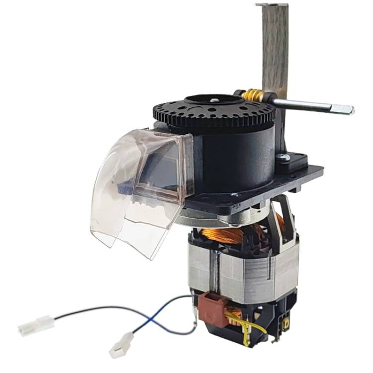MOTOR ZU MAHLWERK KOMPLETT MIT ANBAUTEILEN | 230V 50/60Hz | FÜR LELIT ANITA (PL042)