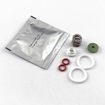 SERVICE-SET DAMPFHAHN | RANCILIO SILVIA NEUES MODELL (ab...