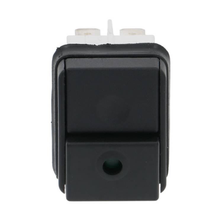 DRUCKSCHALTER | 30x22 mm | 2-POLIG - GRÜN BELEUCHTET - 250V | FÜR RANCILIO KRYO 65 OD - KRYO 65 ST - EPOCA - CLASSE7 - FÜR UNIVERSELLE ANWENDUNG