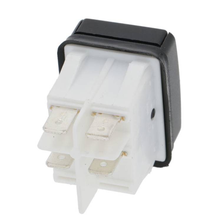 DRUCKSCHALTER | 30x22 mm | 2-POLIG - GRÜN BELEUCHTET - 250V | FÜR RANCILIO KRYO 65 OD - KRYO 65 ST - EPOCA - CLASSE7 - FÜR UNIVERSELLE ANWENDUNG