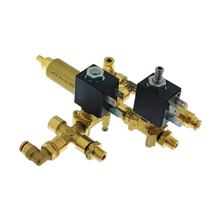 KALTWASSERBLOCK KOMPLETT |  | 220V |  FÜR LELIT PL62 ( MARA )