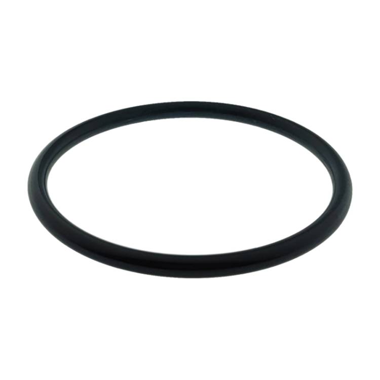 O-RING DOSIERBEHÄLTER | OR 179 75,57 mm | FÜR LELIT PL71 - 72 ( WILLIAM )
