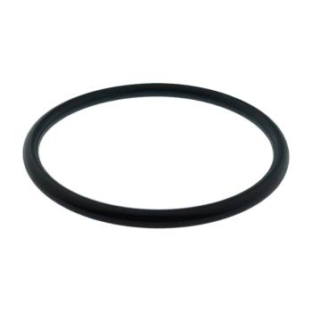 O-RING DOSIERBEHÄLTER | OR 179 75,57 mm | FÜR...