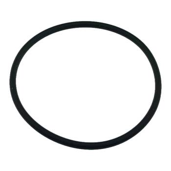 O-RING | BOHNENBEHÄLTER | FÜR ECM S64 MANUALE -...