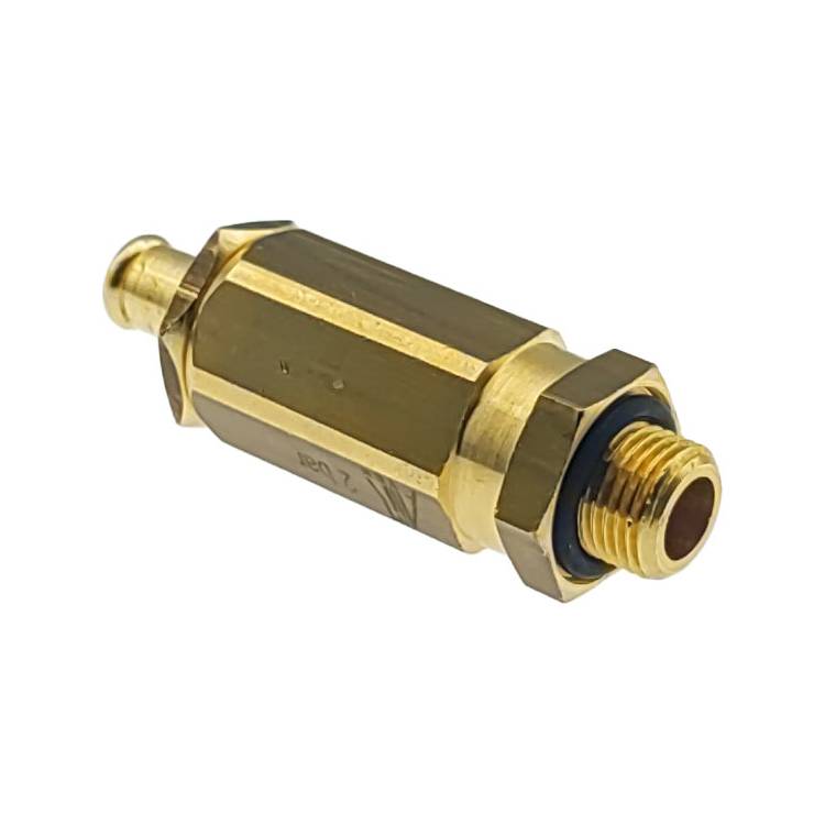 SICHERHEITSVENTIL 2BAR | 1/8" - 7 mm MIT TÜLLE | MESSING | MIT SCHLAUCHTÜLLE | FÜR LELIT MARA ( PL62 )