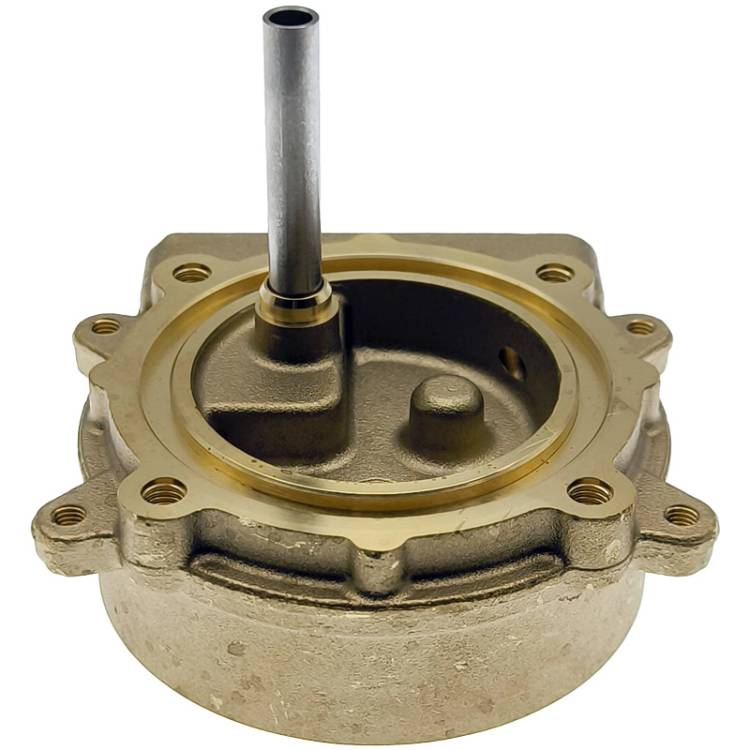 BRÜHGRUPPE MESSING | FÜR GAGGIA CLASSIC *** MODELLE SIEHE TABELLE ***