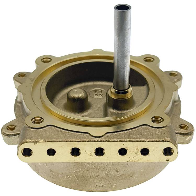 BRÜHGRUPPE MESSING | FÜR GAGGIA CLASSIC *** MODELLE SIEHE TABELLE ***